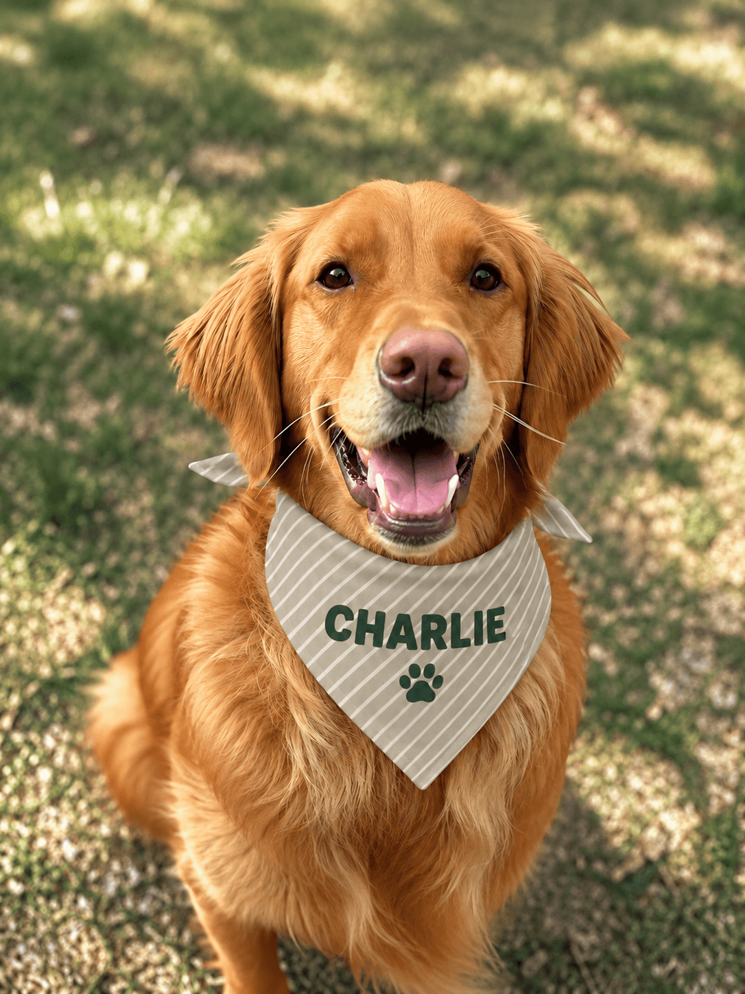 Charlie Dog Bandana