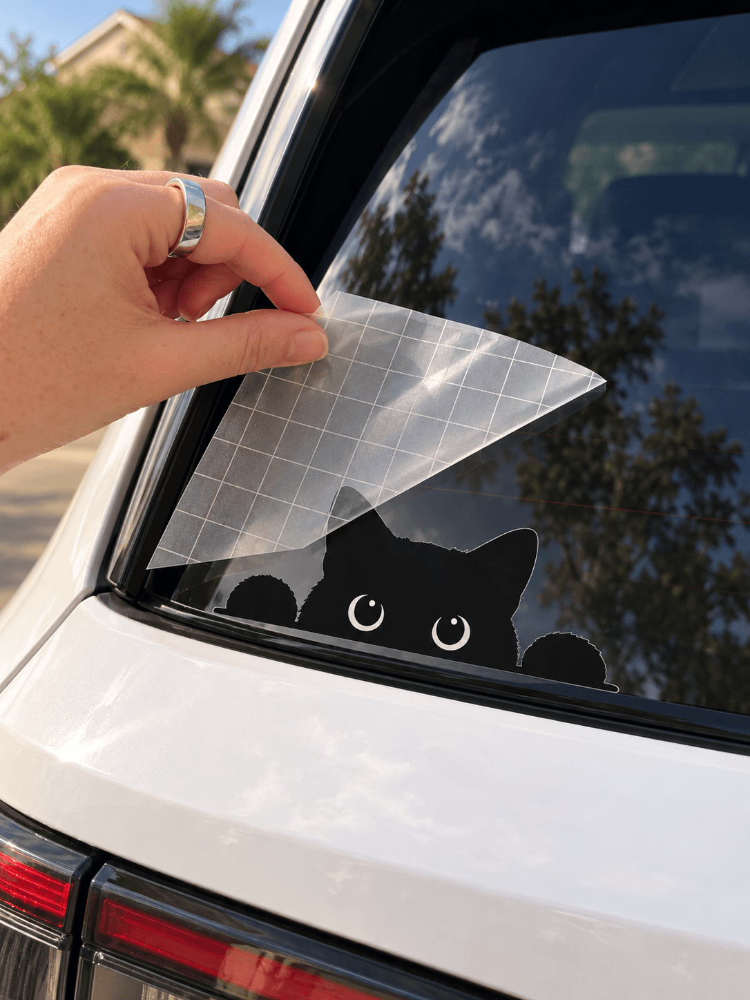 Peeking Cat Car Decal